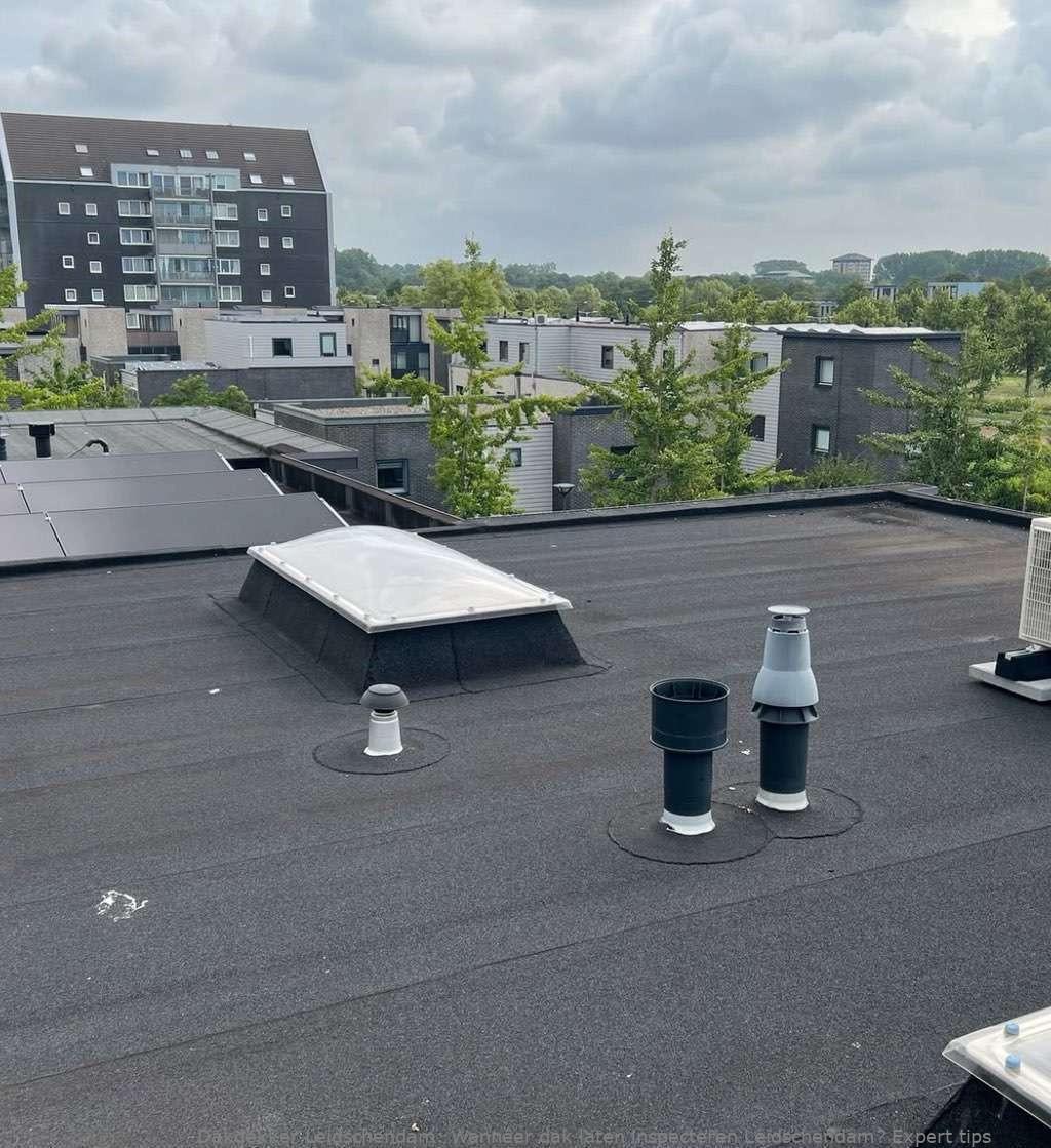 Dak Laten Inspecteren Leidschendam