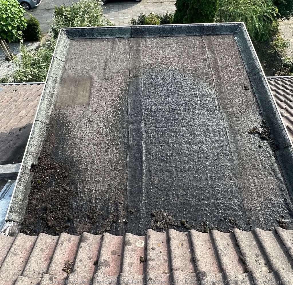 Dak Lekt Leidschendam