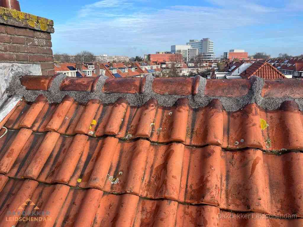 Nieuw bitumen plat dak met uitzicht over woonwijk in Leidschendam