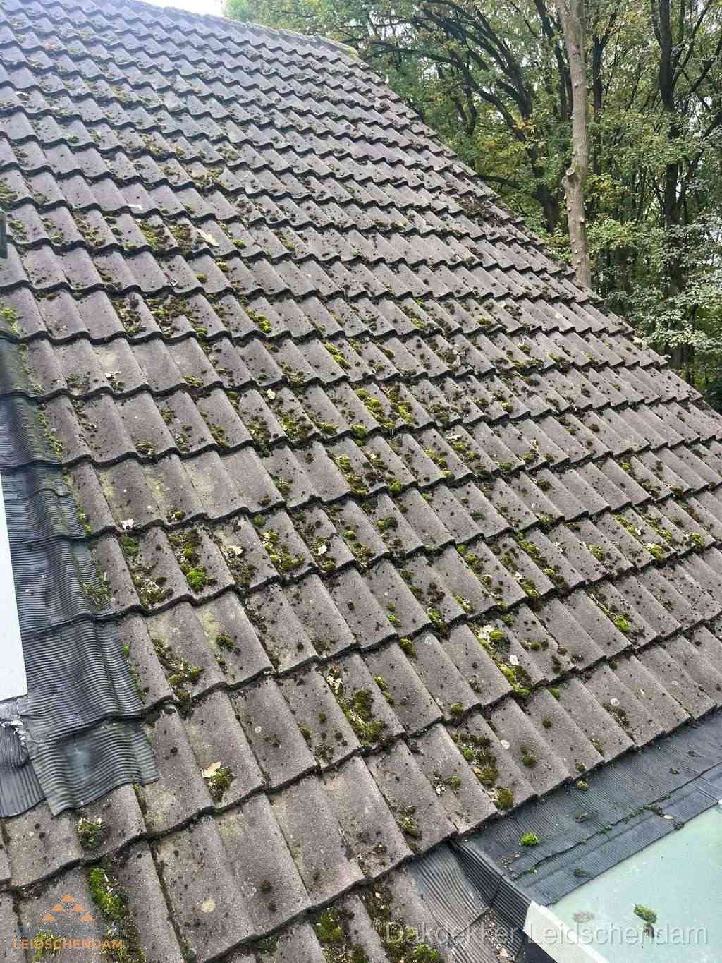 Verweerd pannendak met mosgroei dat renovatie nodig heeft in Leidschendam