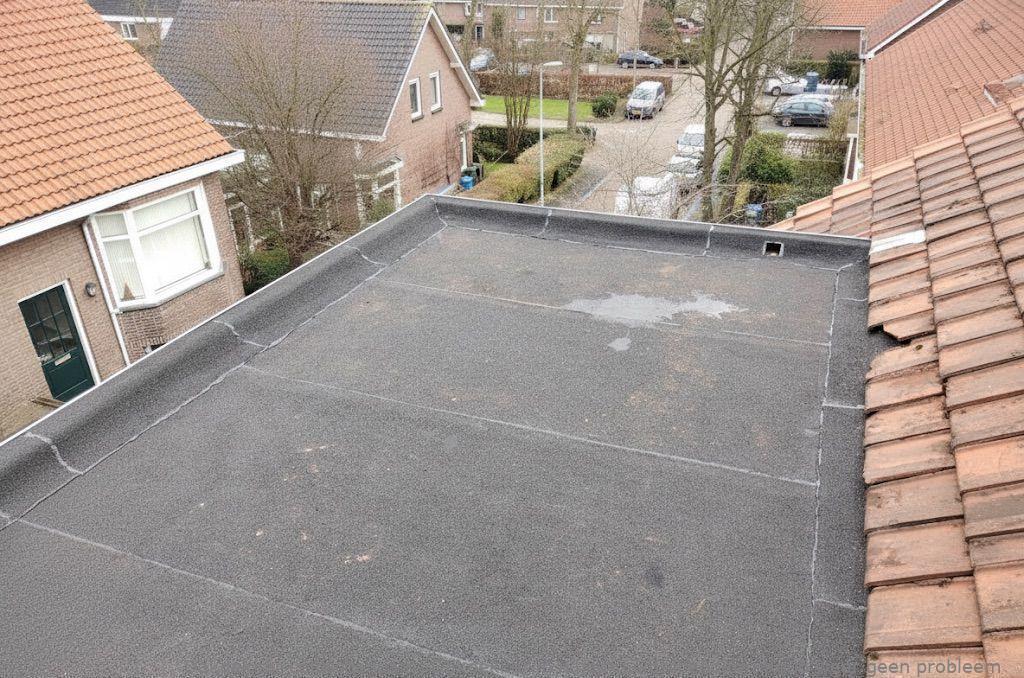 Dakdekker In Najaar Leidschendam