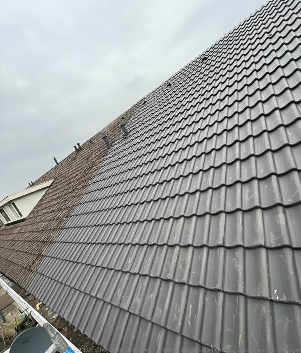 Dakpannen Schoonmaken Leidschendam