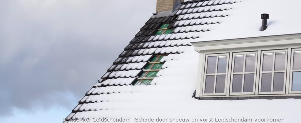 Schade Door Sneeuw En Vorst Leidschendam