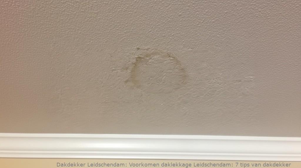 Voorkomen Daklekkage Leidschendam